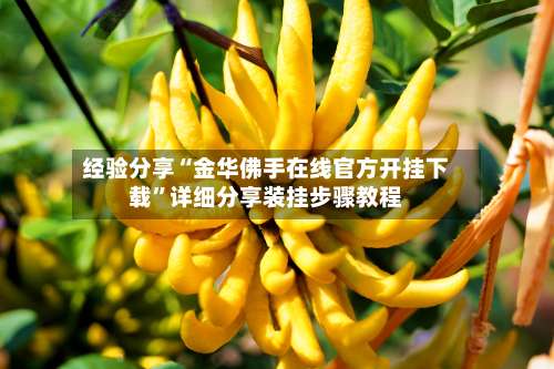 经验分享“金华佛手在线官方开挂下载	”详细分享装挂步骤教程-第1张图片