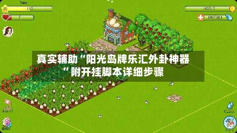 真实辅助“阳光岛牌乐汇外卦神器”附开挂脚本详细步骤-第2张图片