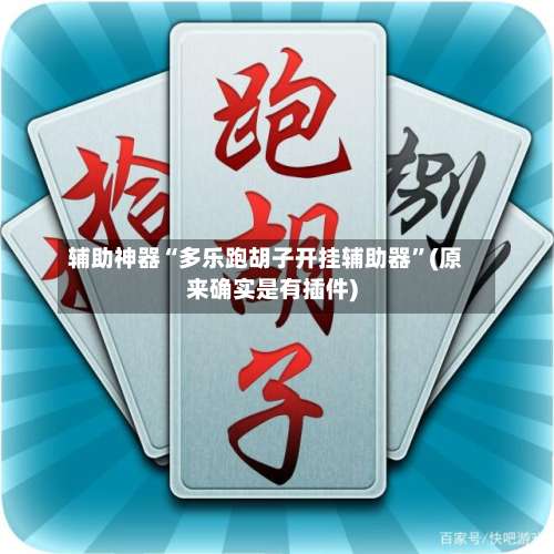 辅助神器“多乐跑胡子开挂辅助器”(原来确实是有插件)-第1张图片