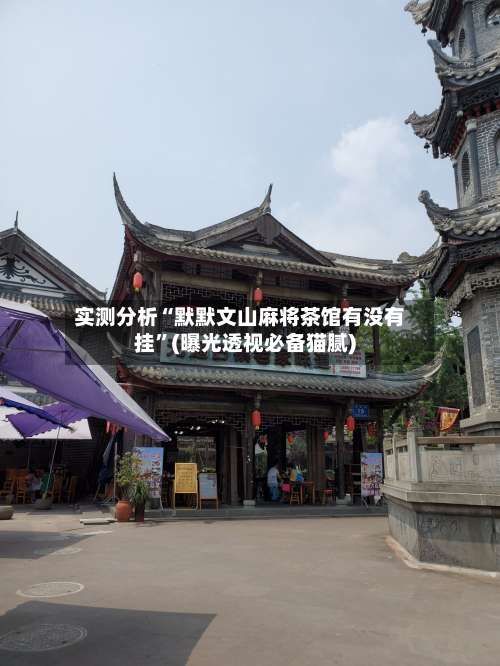 实测分析“默默文山麻将茶馆有没有挂”(曝光透视必备猫腻)-第2张图片