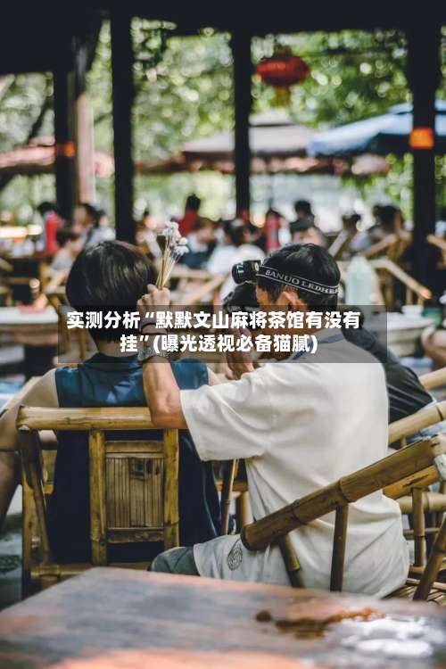 实测分析“默默文山麻将茶馆有没有挂”(曝光透视必备猫腻)-第1张图片