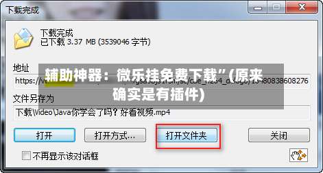 辅助神器：微乐挂免费下载”(原来确实是有插件)-第1张图片