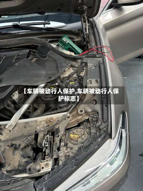 【车辆被动行人保护,车辆被动行人保护标志】-第2张图片