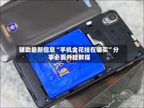 辅助最新信息“手机金花挂在哪买	”分享必要外挂教程-第3张图片