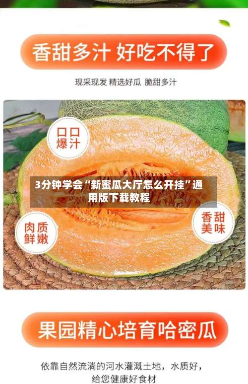 3分钟学会“新蜜瓜大厅怎么开挂”通用版下载教程-第1张图片