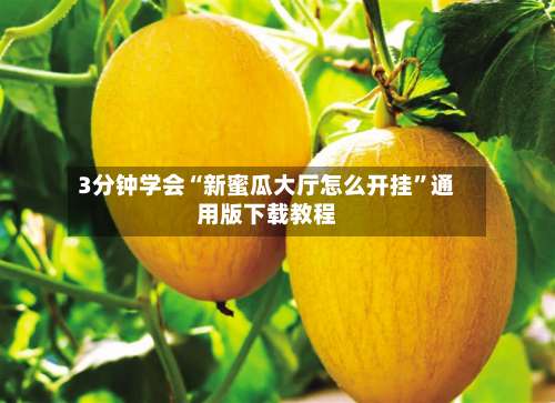 3分钟学会“新蜜瓜大厅怎么开挂”通用版下载教程-第2张图片