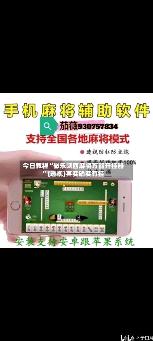 今日教程“微乐陕西麻将万能开挂器	”(透视)其实确实有挂-第1张图片
