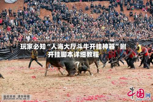 玩家必知“人海大厅斗牛开挂神器”附开挂脚本详细教程-第1张图片