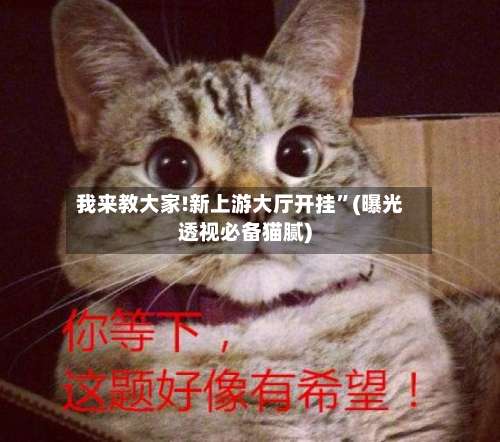 我来教大家!新上游大厅开挂	”(曝光透视必备猫腻)-第1张图片