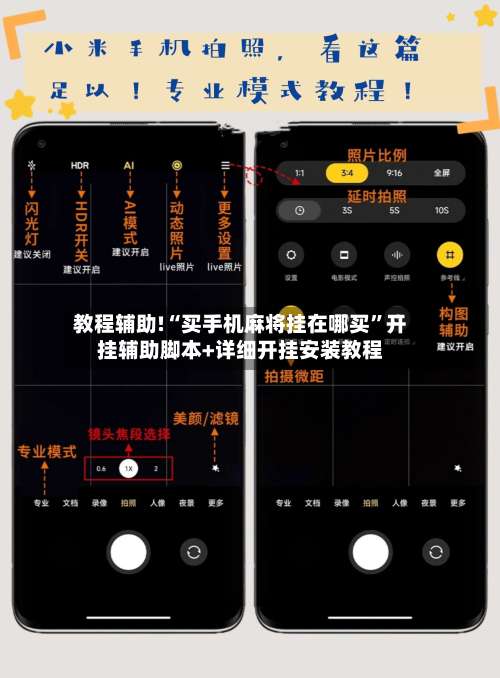 教程辅助!“买手机麻将挂在哪买”开挂辅助脚本+详细开挂安装教程-第2张图片