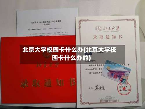 北京大学校园卡什么办(北京大学校园卡什么办的)-第1张图片