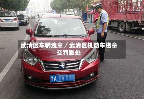 武清区车辆违章／武清区机动车违章交罚款处-第3张图片