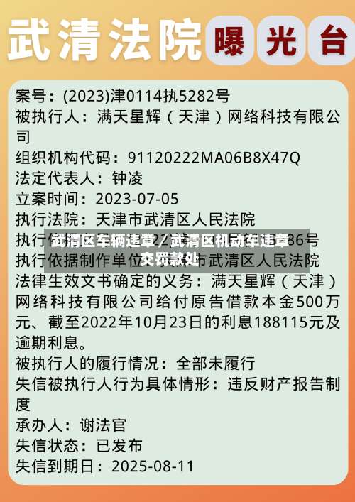 武清区车辆违章／武清区机动车违章交罚款处-第2张图片
