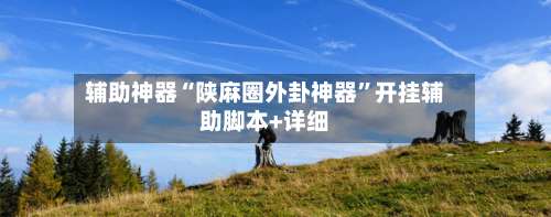 辅助神器“陕麻圈外卦神器	”开挂辅助脚本+详细-第2张图片