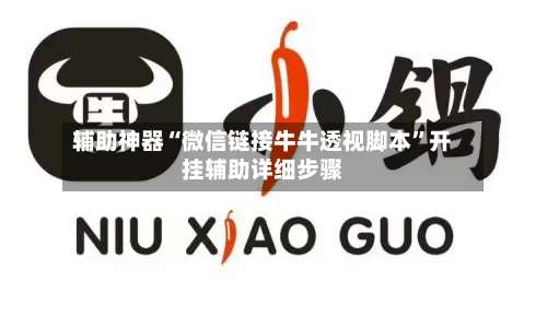 辅助神器“微信链接牛牛透视脚本	”开挂辅助详细步骤-第3张图片