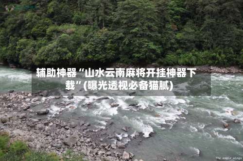 辅助神器“山水云南麻将开挂神器下载”(曝光透视必备猫腻)-第2张图片