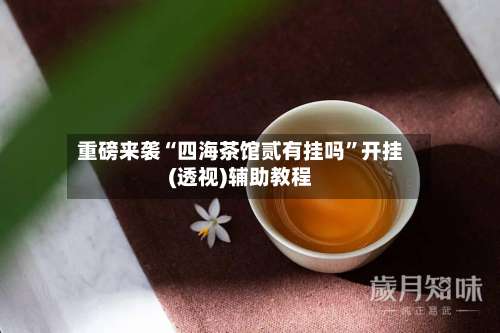 重磅来袭“四海茶馆贰有挂吗”开挂(透视)辅助教程-第3张图片