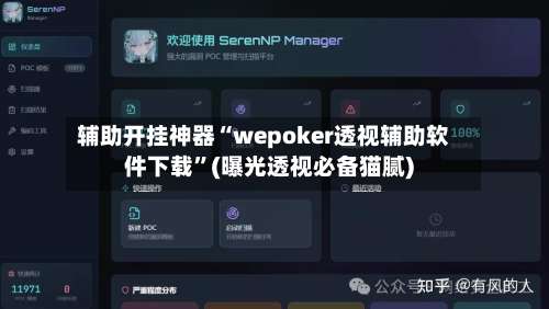 辅助开挂神器“wepoker透视辅助软件下载”(曝光透视必备猫腻)-第3张图片