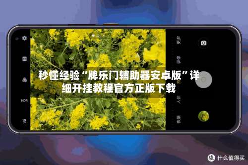 秒懂经验“牌乐门辅助器安卓版	”详细开挂教程官方正版下载-第2张图片