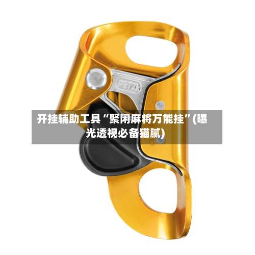 开挂辅助工具“聚闲麻将万能挂”(曝光透视必备猫腻)-第1张图片