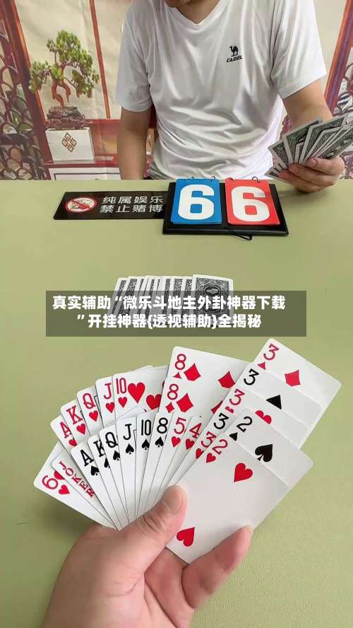 真实辅助“微乐斗地主外卦神器下载”开挂神器{透视辅助}全揭秘-第1张图片