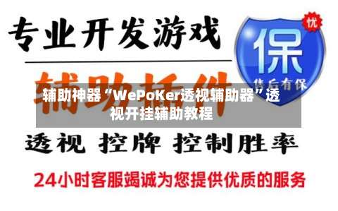 辅助神器“WePoKer透视辅助器”透视开挂辅助教程-第3张图片