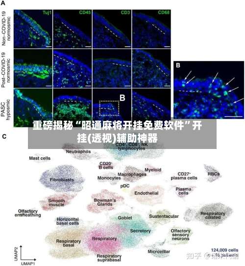 重磅揭秘“昭通麻将开挂免费软件	”开挂(透视)辅助神器-第2张图片