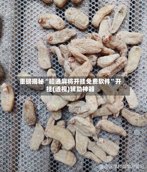 重磅揭秘“昭通麻将开挂免费软件”开挂(透视)辅助神器-第1张图片