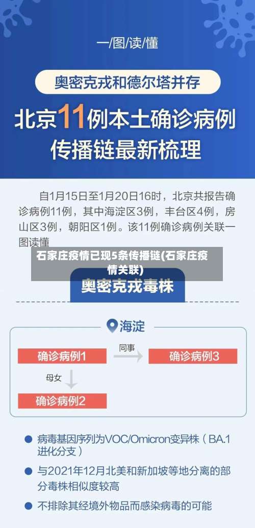 石家庄疫情已现5条传播链(石家庄疫情关联)-第2张图片