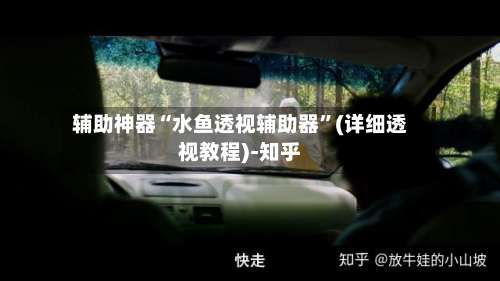 辅助神器“水鱼透视辅助器”(详细透视教程)-知乎-第1张图片