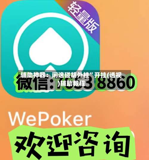 辅助神器：闲逸碰胡外桂”开挂(透视)辅助教程-第1张图片