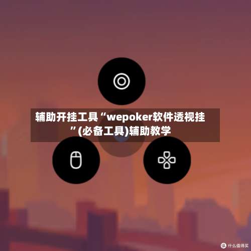 辅助开挂工具“wepoker软件透视挂”(必备工具)辅助教学-第3张图片