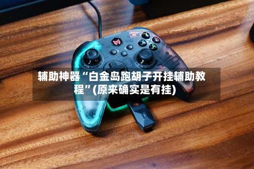 辅助神器“白金岛跑胡子开挂辅助教程”(原来确实是有挂)-第2张图片