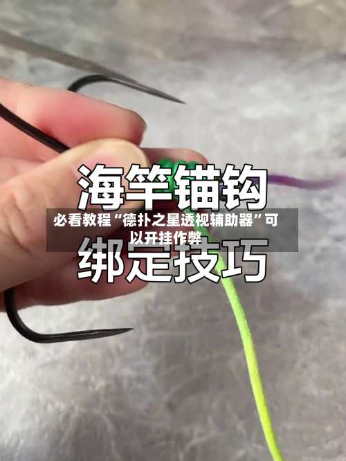必看教程“德扑之星透视辅助器”可以开挂作弊-第1张图片