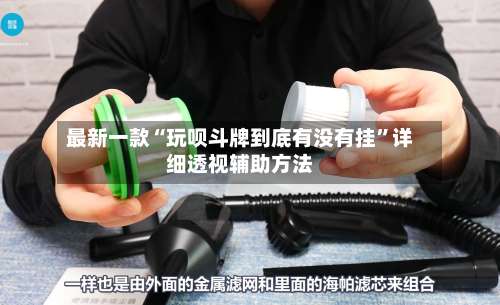 最新一款“玩呗斗牌到底有没有挂”详细透视辅助方法-第2张图片