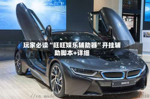 玩家必读“旺旺娱乐辅助器	”开挂辅助脚本+详细-第1张图片