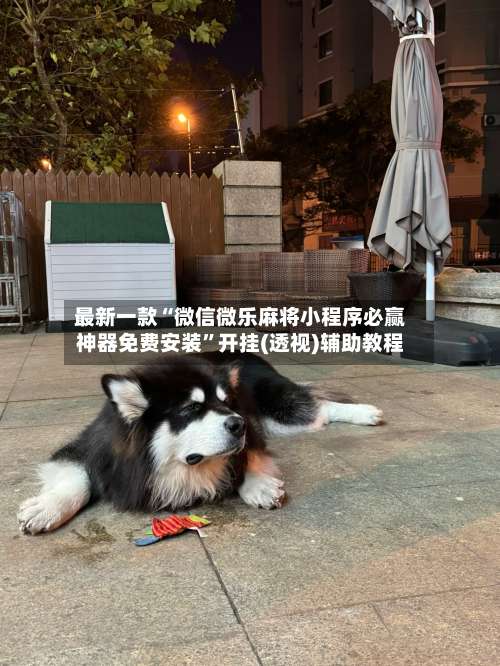 最新一款“微信微乐麻将小程序必赢神器免费安装”开挂(透视)辅助教程-第2张图片