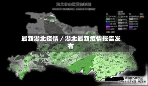 最新湖北疫情／湖北最新疫情报告发布-第1张图片