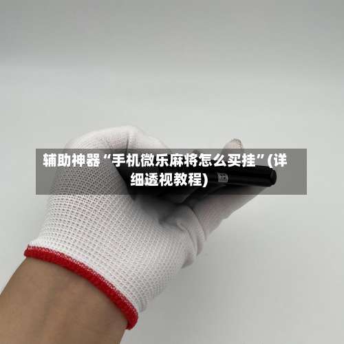 辅助神器“手机微乐麻将怎么买挂”(详细透视教程)-第2张图片