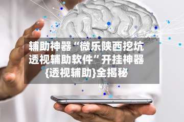 辅助神器“微乐陕西挖坑透视辅助软件”开挂神器{透视辅助}全揭秘-第1张图片