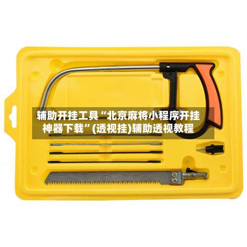 辅助开挂工具“北京麻将小程序开挂神器下载”(透视挂)辅助透视教程-第1张图片