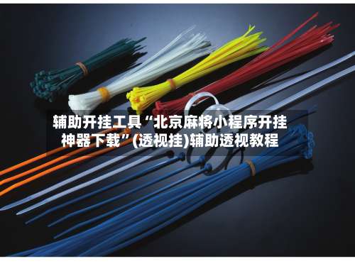 辅助开挂工具“北京麻将小程序开挂神器下载”(透视挂)辅助透视教程-第3张图片