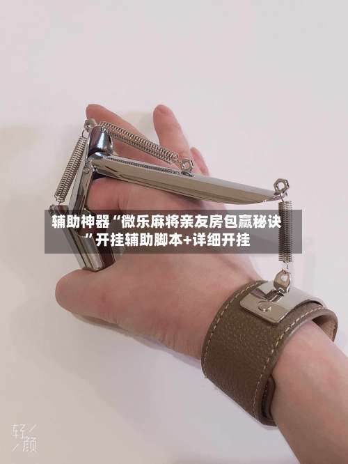 辅助神器“微乐麻将亲友房包赢秘诀	”开挂辅助脚本+详细开挂-第1张图片