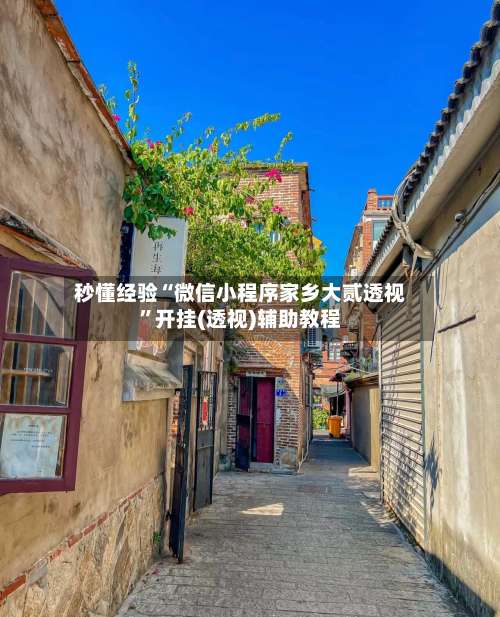 秒懂经验“微信小程序家乡大贰透视”开挂(透视)辅助教程-第3张图片