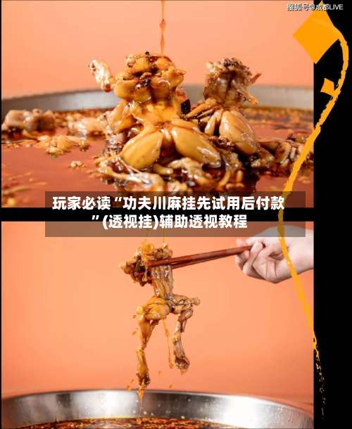 玩家必读“功夫川麻挂先试用后付款”(透视挂)辅助透视教程-第1张图片