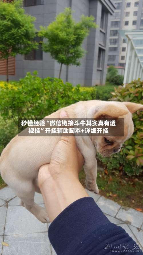 秒懂经验“微信链接斗牛其实真有透视挂”开挂辅助脚本+详细开挂-第1张图片