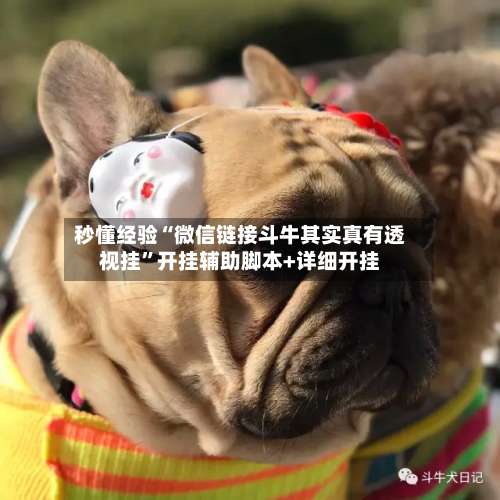 秒懂经验“微信链接斗牛其实真有透视挂	”开挂辅助脚本+详细开挂-第2张图片