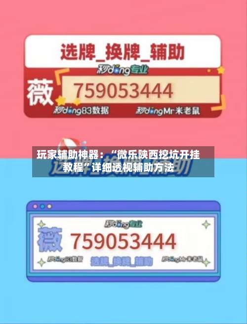 玩家辅助神器：“微乐陕西挖坑开挂教程”详细透视辅助方法-第1张图片