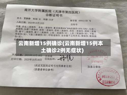 云南新增15例确诊(云南新增15例本土确诊2例无症状)-第2张图片