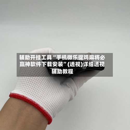 辅助开挂工具“手机微乐捉鸡麻将必赢神软件下载安装	”(透视)详细透视辅助教程-第3张图片